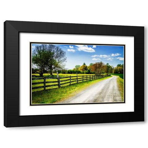 Spring on the Farm I Black Modern Wood Framed Art Print with Double Matting by Hausenflock, Alan