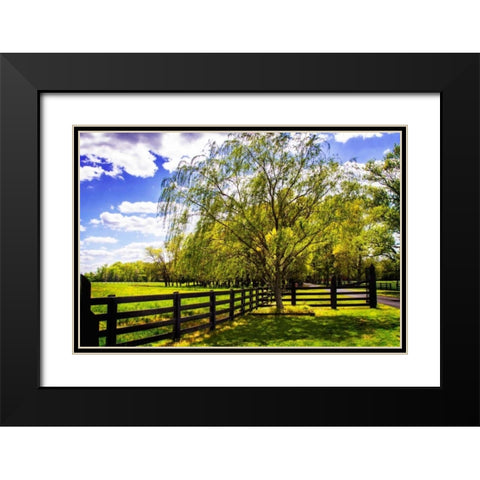 Spring on the Farm II Black Modern Wood Framed Art Print with Double Matting by Hausenflock, Alan