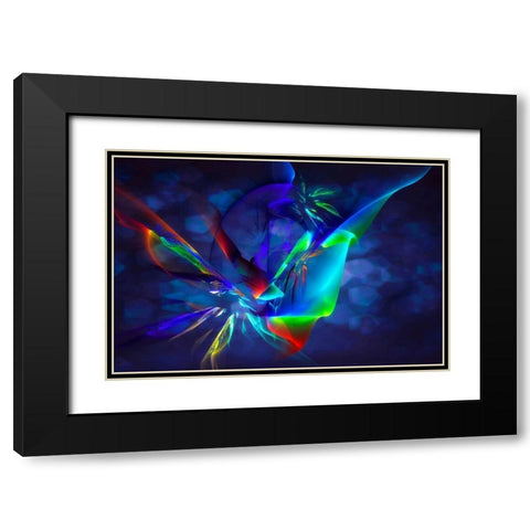 Frenzy II Black Modern Wood Framed Art Print with Double Matting by Hausenflock, Alan