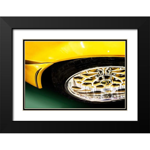 Firebird Black Modern Wood Framed Art Print with Double Matting by Hausenflock, Alan