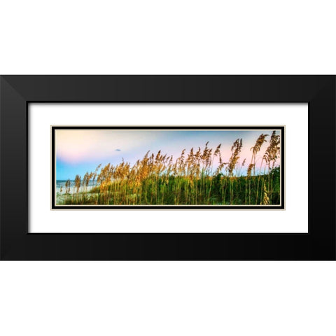 Days End I Black Modern Wood Framed Art Print with Double Matting by Hausenflock, Alan