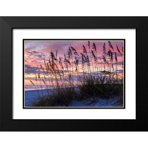 Ragged Sunrise IV Black Modern Wood Framed Art Print with Double Matting by Hausenflock, Alan
