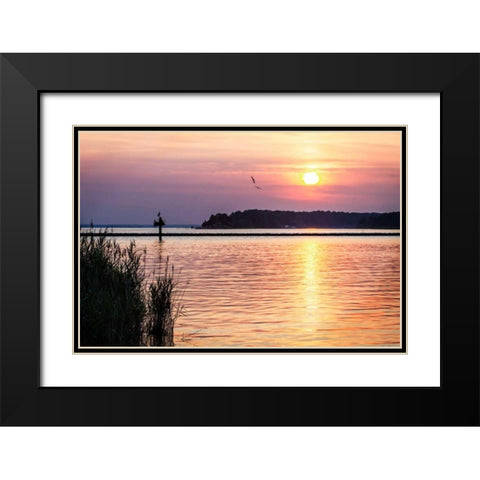 Ospreys at Sunset Black Modern Wood Framed Art Print with Double Matting by Hausenflock, Alan