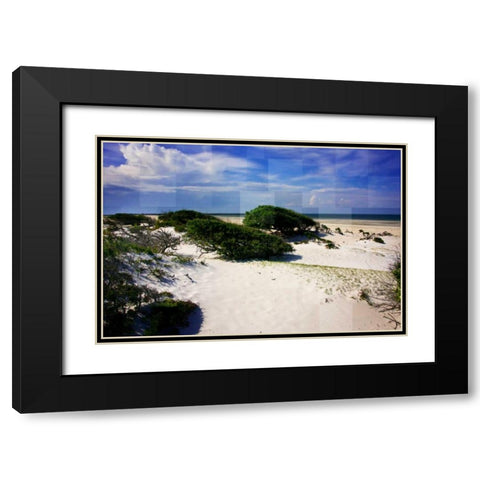 Windswept Beach Black Modern Wood Framed Art Print with Double Matting by Hausenflock, Alan