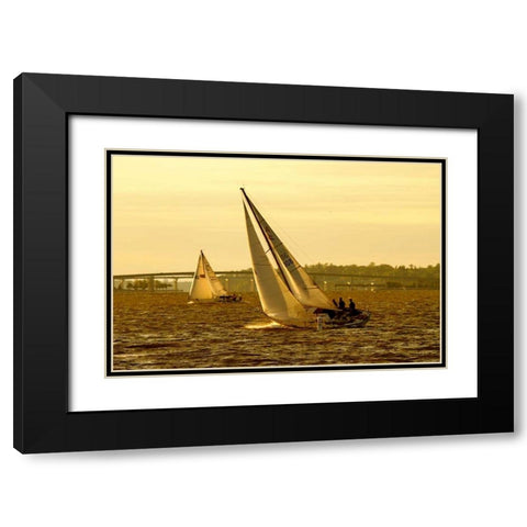 Severn River Sailing II Black Modern Wood Framed Art Print with Double Matting by Hausenflock, Alan
