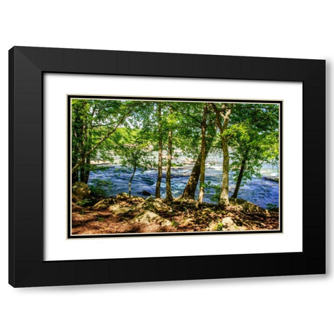 Spring On The River I Black Modern Wood Framed Art Print with Double Matting by Hausenflock, Alan