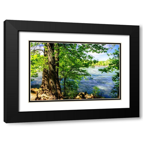 Spring On The River II Black Modern Wood Framed Art Print with Double Matting by Hausenflock, Alan