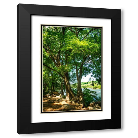 Spring On The River IV Black Modern Wood Framed Art Print with Double Matting by Hausenflock, Alan