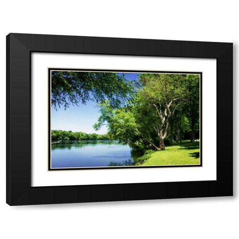Spring On The River V Black Modern Wood Framed Art Print with Double Matting by Hausenflock, Alan
