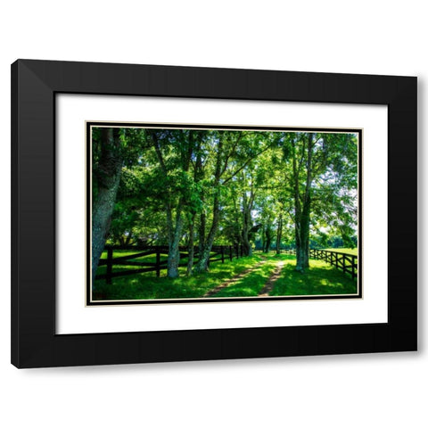 Green Springs Farm III Black Modern Wood Framed Art Print with Double Matting by Hausenflock, Alan