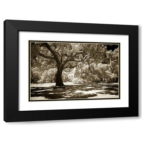 Ancient Sentinel Black Modern Wood Framed Art Print with Double Matting by Hausenflock, Alan