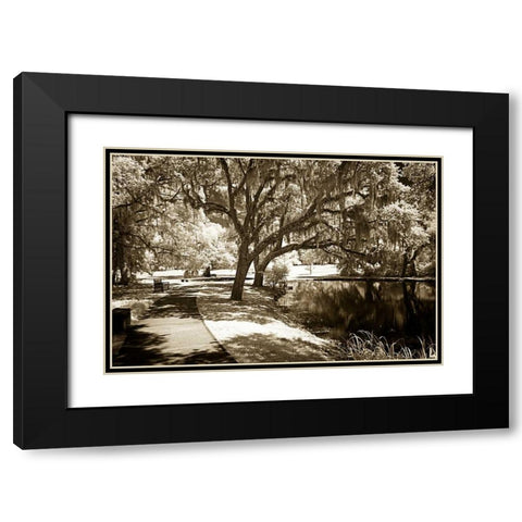 Walkers Pond I Black Modern Wood Framed Art Print with Double Matting by Hausenflock, Alan