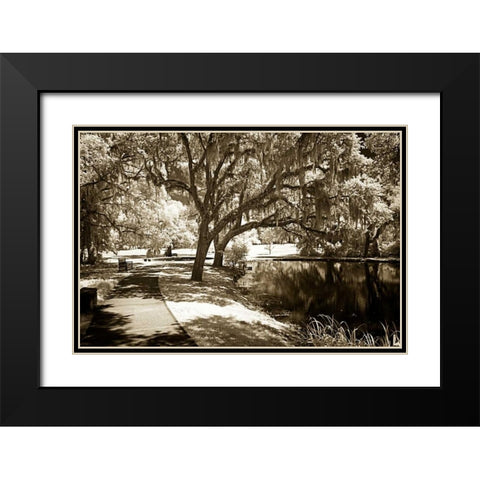Walkers Pond I Black Modern Wood Framed Art Print with Double Matting by Hausenflock, Alan