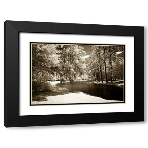 Pines Along The Stream Black Modern Wood Framed Art Print with Double Matting by Hausenflock, Alan
