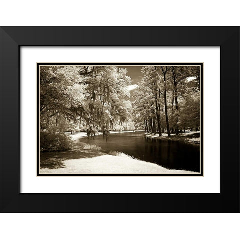 Pines Along The Stream Black Modern Wood Framed Art Print with Double Matting by Hausenflock, Alan