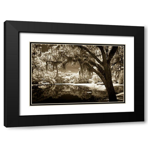 Walkers Pond II Black Modern Wood Framed Art Print with Double Matting by Hausenflock, Alan