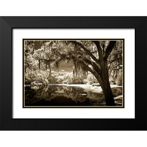 Walkers Pond II Black Modern Wood Framed Art Print with Double Matting by Hausenflock, Alan