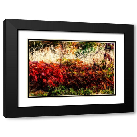 Color Of Fall I Black Modern Wood Framed Art Print with Double Matting by Hausenflock, Alan