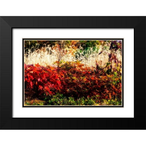 Color Of Fall I Black Modern Wood Framed Art Print with Double Matting by Hausenflock, Alan