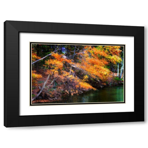 Color Of Fall III Black Modern Wood Framed Art Print with Double Matting by Hausenflock, Alan