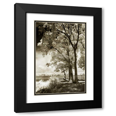 Cobb Island III Black Modern Wood Framed Art Print with Double Matting by Hausenflock, Alan