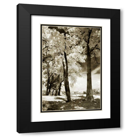Cobb Island IV Black Modern Wood Framed Art Print with Double Matting by Hausenflock, Alan