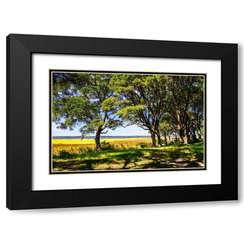Cape Fear Overlook Black Modern Wood Framed Art Print with Double Matting by Hausenflock, Alan