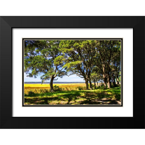 Cape Fear Overlook Black Modern Wood Framed Art Print with Double Matting by Hausenflock, Alan