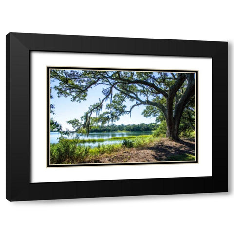 Bradley Creek II Black Modern Wood Framed Art Print with Double Matting by Hausenflock, Alan