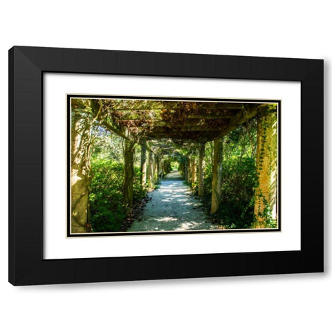 An Arbored Pathway Black Modern Wood Framed Art Print with Double Matting by Hausenflock, Alan
