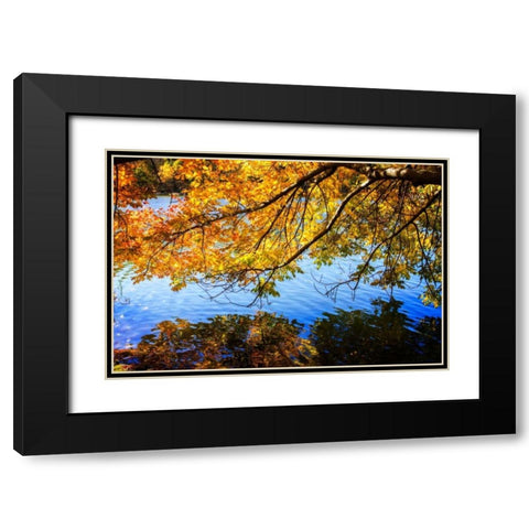 Autumn Reflections I Black Modern Wood Framed Art Print with Double Matting by Hausenflock, Alan
