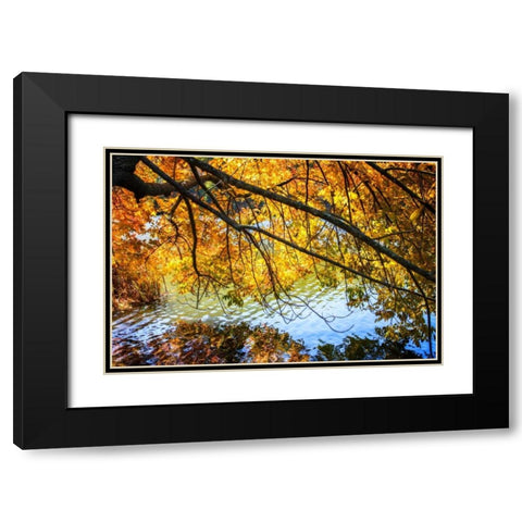 Autumn Reflections II Black Modern Wood Framed Art Print with Double Matting by Hausenflock, Alan