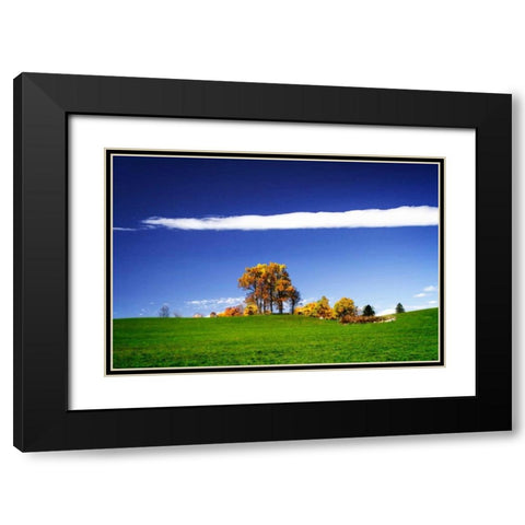 Meadows of Dan I Black Modern Wood Framed Art Print with Double Matting by Hausenflock, Alan
