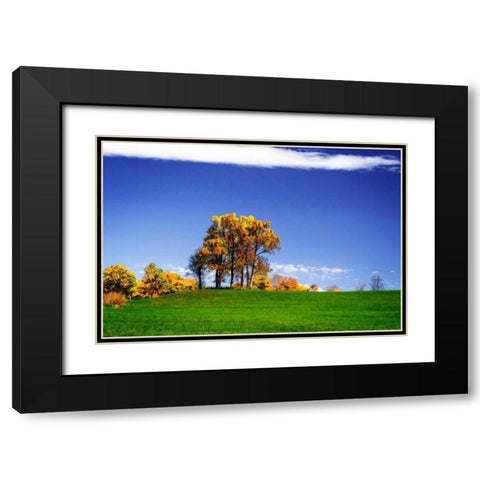Meadows of Dan II Black Modern Wood Framed Art Print with Double Matting by Hausenflock, Alan