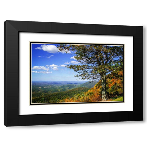 Approaching Autumn II Black Modern Wood Framed Art Print with Double Matting by Hausenflock, Alan
