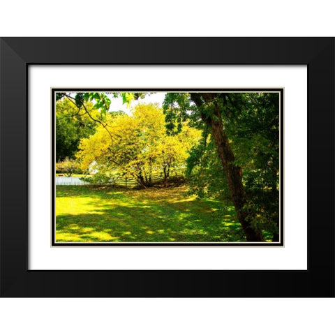 Backyard Color I Black Modern Wood Framed Art Print with Double Matting by Hausenflock, Alan