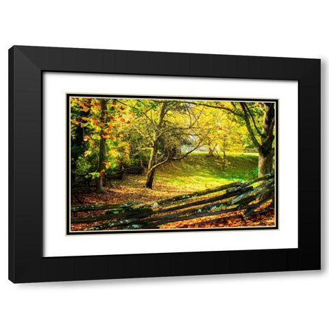 Backyard Color II Black Modern Wood Framed Art Print with Double Matting by Hausenflock, Alan