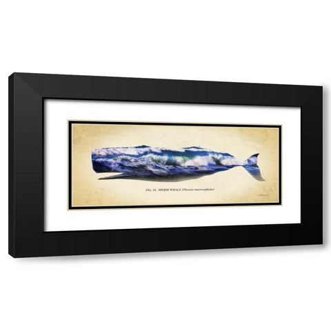 Sperm Whale Black Modern Wood Framed Art Print with Double Matting by Hausenflock, Alan