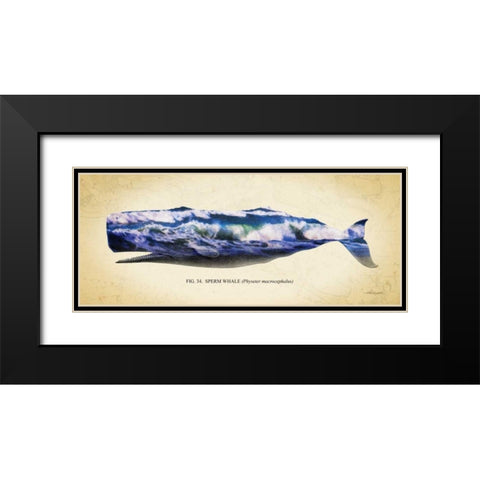 Sperm Whale Black Modern Wood Framed Art Print with Double Matting by Hausenflock, Alan