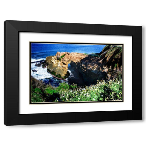 Goldfish Point I Black Modern Wood Framed Art Print with Double Matting by Hausenflock, Alan