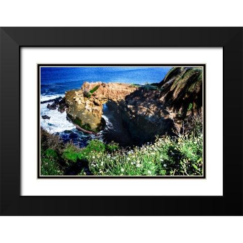 Goldfish Point I Black Modern Wood Framed Art Print with Double Matting by Hausenflock, Alan