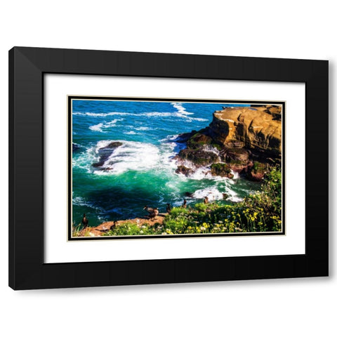 Goldfish Point II Black Modern Wood Framed Art Print with Double Matting by Hausenflock, Alan