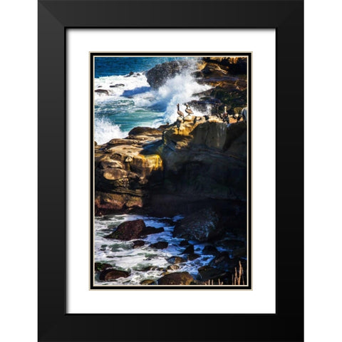 La Jolla Pelicans I Black Modern Wood Framed Art Print with Double Matting by Hausenflock, Alan