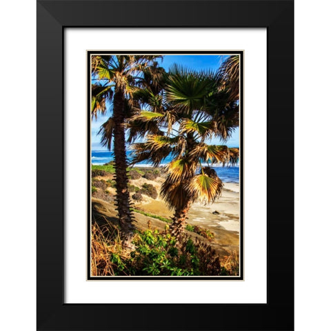 La Jolla Palms I Black Modern Wood Framed Art Print with Double Matting by Hausenflock, Alan