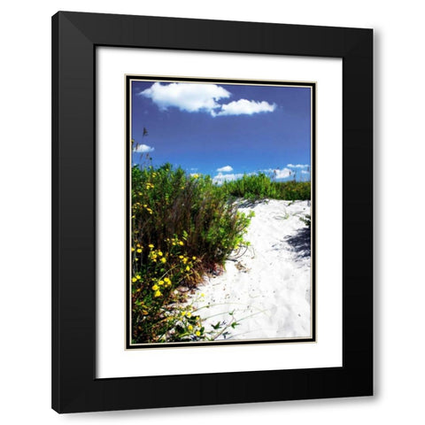 A Sandy Pathway I Black Modern Wood Framed Art Print with Double Matting by Hausenflock, Alan