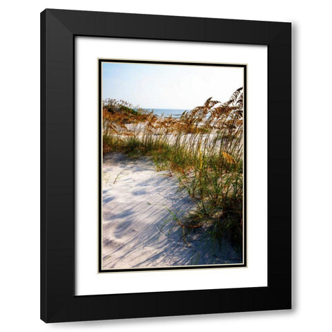 Sea Oats and Shadow II Black Modern Wood Framed Art Print with Double Matting by Hausenflock, Alan