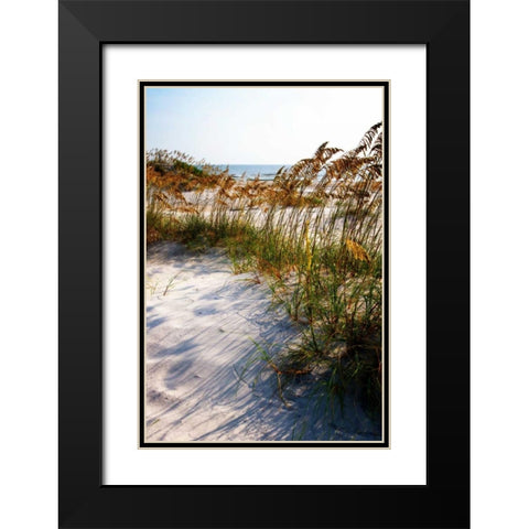Sea Oats and Shadow II Black Modern Wood Framed Art Print with Double Matting by Hausenflock, Alan