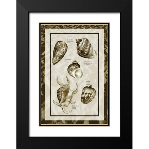 Sand and Shells I Black Modern Wood Framed Art Print with Double Matting by Hausenflock, Alan