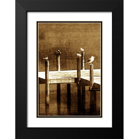 Sea Birds II Black Modern Wood Framed Art Print with Double Matting by Hausenflock, Alan