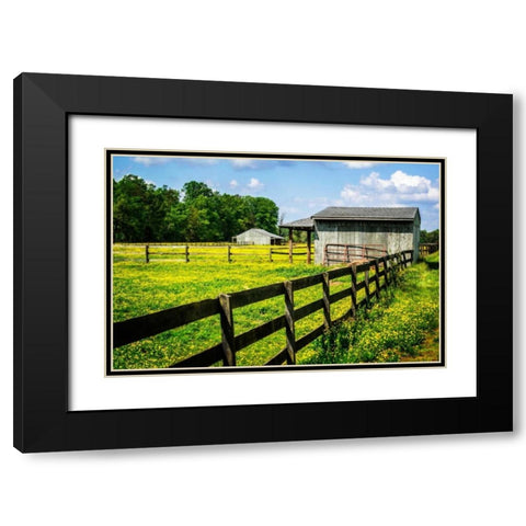 Spring Pasture II Black Modern Wood Framed Art Print with Double Matting by Hausenflock, Alan
